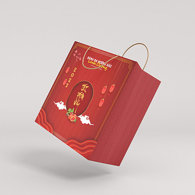 In túi giấy đựng quà Tết