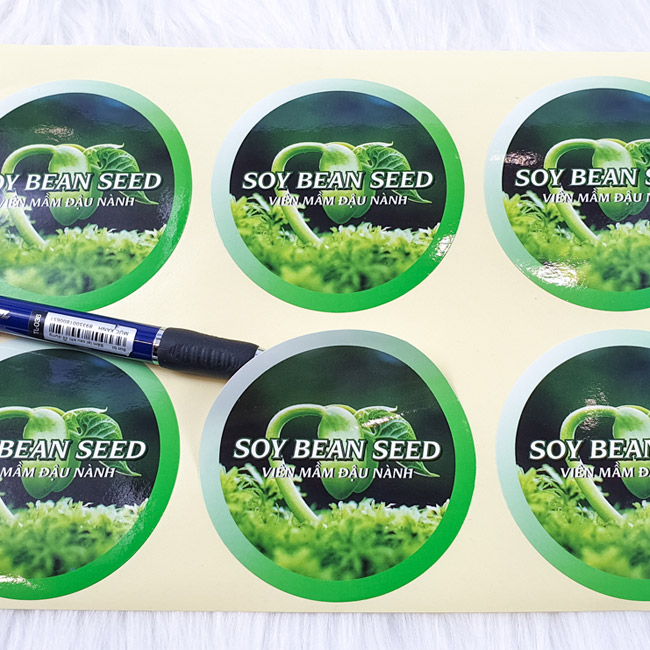 Mẫu decal dán lọ viên mầm đậu nành