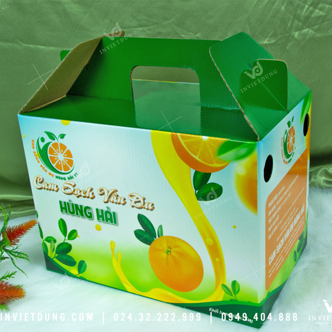 Mẫu hộp carton đựng cam sạch Vân Du Hùng Hải