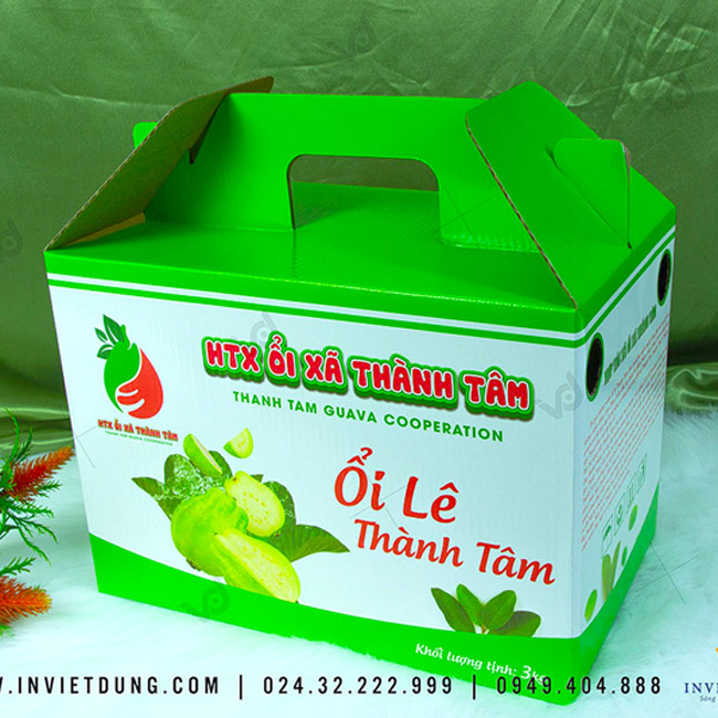 Mẫu hộp carton đựng ổi xã Thành Tâm