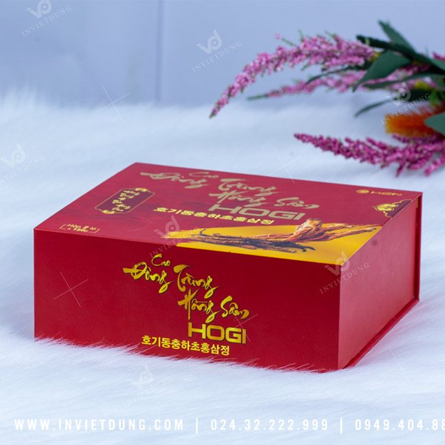 Mẫu hộp cứng đựng đông trùng hạ thảo Hogi