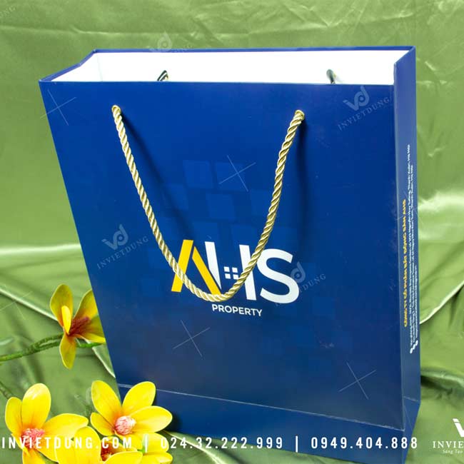 Mẫu túi giấy Công ty Bất động sản AHS