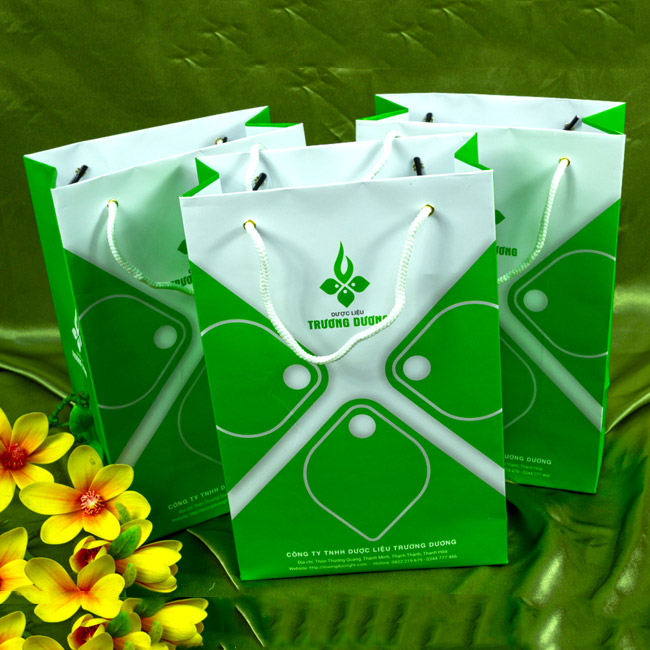 Mẫu túi giấy công ty dược liệu Trương Dương