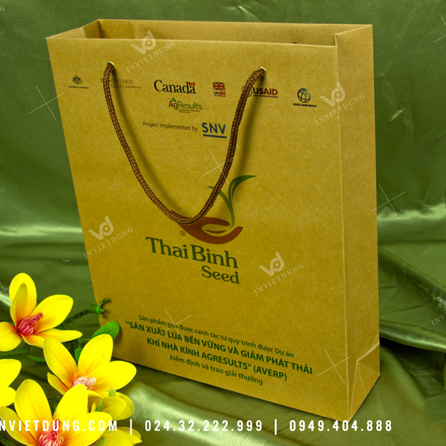 Mẫu túi giấy công ty ThaiBinh Seed
