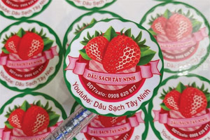 In tem nhãn dâu tây