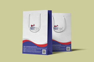 In túi giấy công ty du lịch