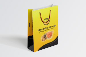 In túi giấy đựng đông trùng hạ thảo