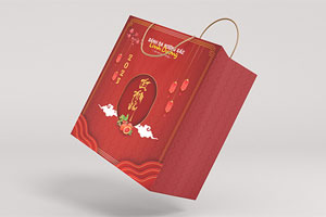 In túi giấy đựng quà Tết
