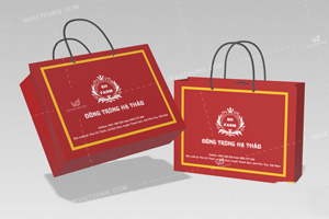 Mẫu túi giấy đông trùng hạ thảo SH Farm