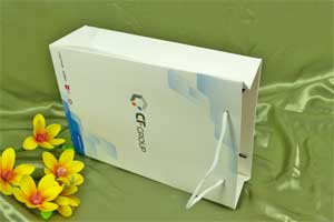 Mẫu túi giấy công ty CF Group