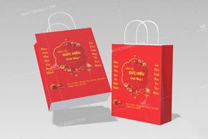 Mẫu túi giấy đựng quà Tết công ty vận tải Đức Hiếu