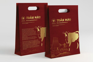 In túi giấy đựng đặc sản