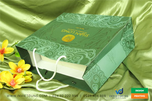 Mẫu túi giấy đựng trà Shan Long