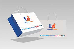 Mẫu túi giấy công ty phân phối sản phẩm Linh Dương Company