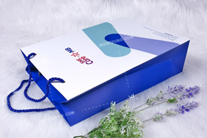Mẫu túi giấy đẹp cho ngân hàng MB Bank