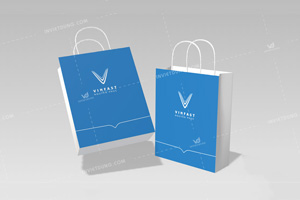 Mẫu túi giấy đựng quà tặng VinFast chi nhánh Nguyễn Phúc