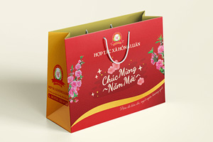 In túi giấy chúc mừng năm mới