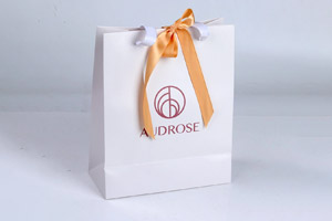 In túi giấy cửa hàng váy cưới