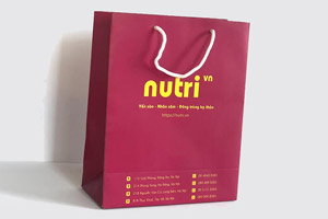 In túi giấy đựng nhân sâm