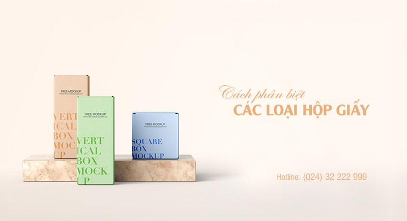 Các loại hộp giấy