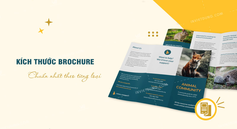 Kích thước brochure