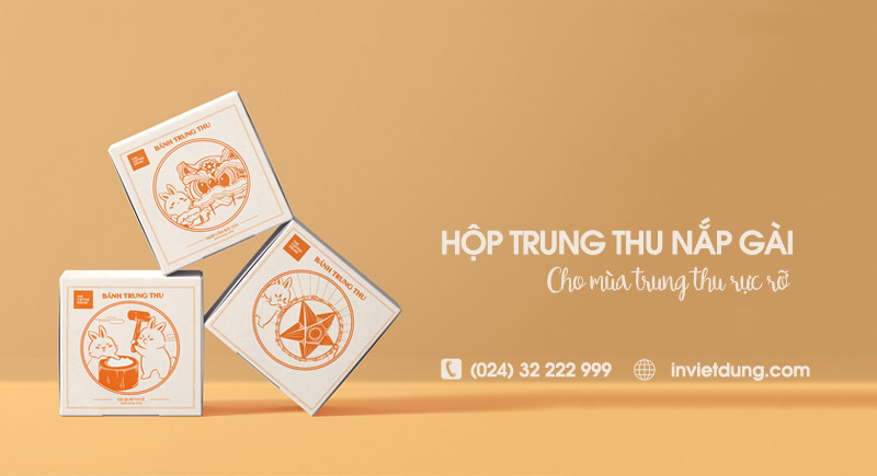 Mẫu hộp đựng bánh trung thu nắp gài