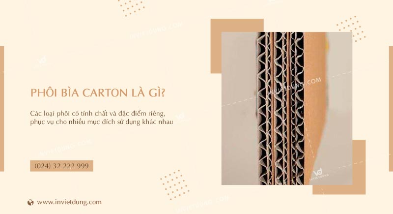 Phôi bìa giấy carton là gì