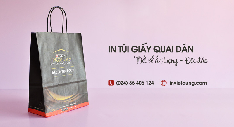 Xưởng in túi giấy quai dán theo yêu cầu, giá rẻ tại Hà Nội