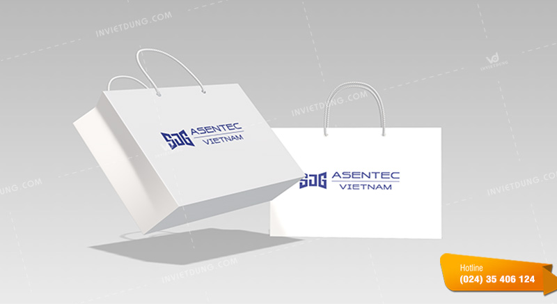 Mẫu túi giấy công ty phụ tùng xe Asentec Việt Nam