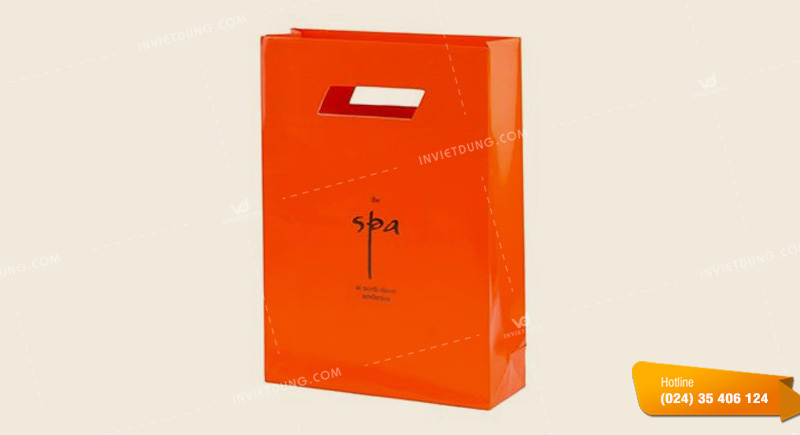 Mẫu túi giấy hột xoài