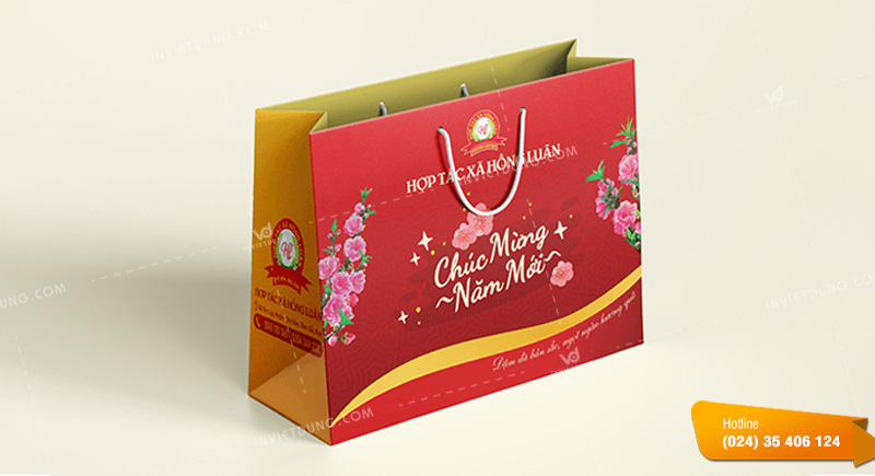 Thiết kế túi giấy chúc mừng năm mới ấn tượng