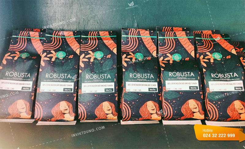 Mẫu túi giấy thương hiệu cà phê Robusta
