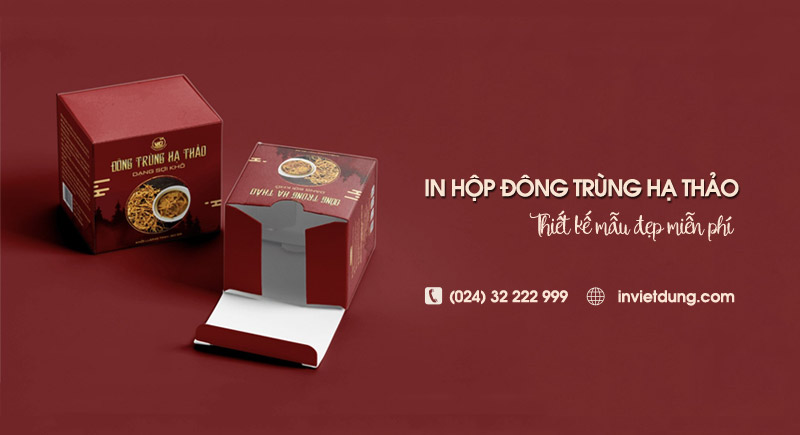 Xưởng in hộp giấy đựng đông trùng hạ thảo giá rẻ, uy tín