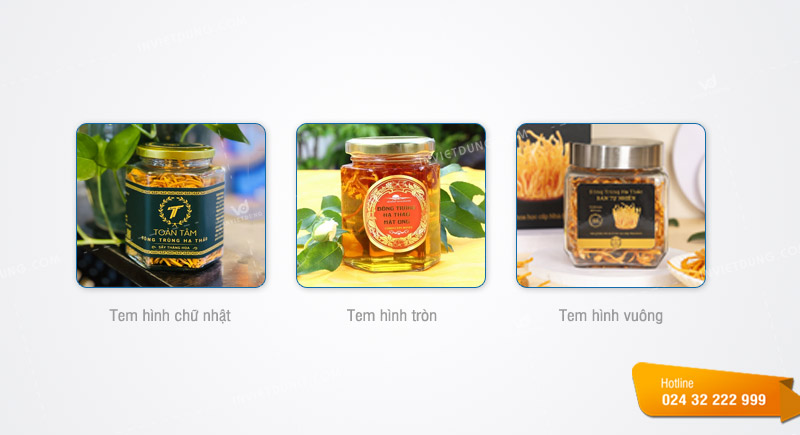 Kích thước tem đông trùng hạ thảo phổ biến