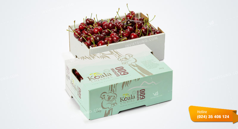 Mẫu hộp giấy đựng cherry thiết kế đẹp