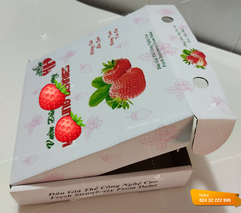 Mẫu hộp giấy đựng dâu tây