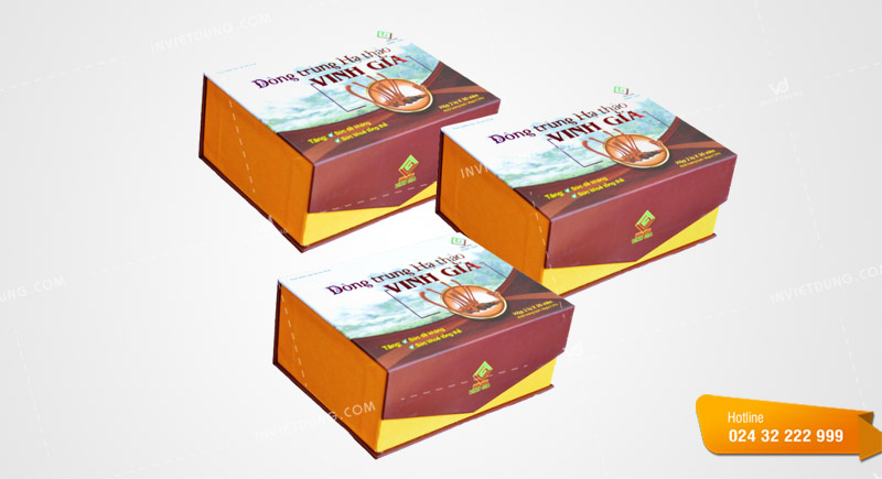 Mẫu hộp giấy đựng đông trùng hạ thảo 