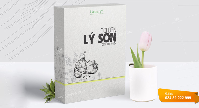 Mẫu hộp giấy mỹ thuật đẹp