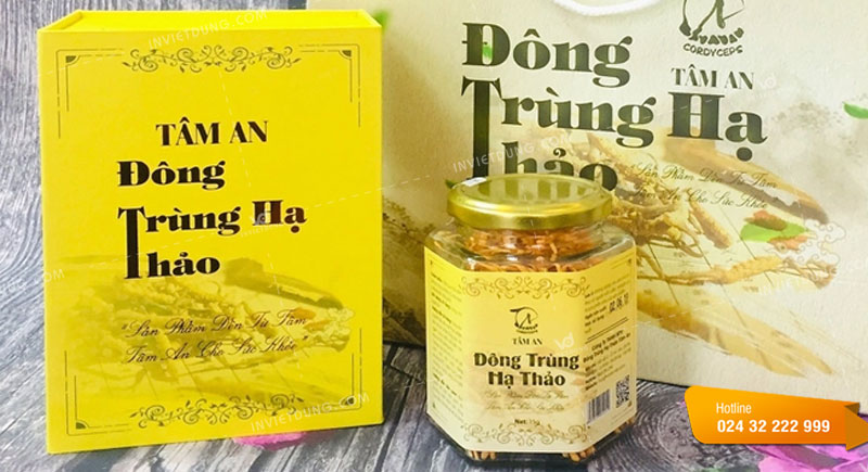 Mẫu tem nhãn đông trùng hạ thảo đẹp và chuyên nghiệp