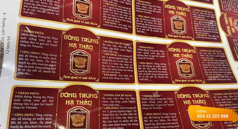 Mẫu tem nhãn đông trùng hạ thảo do In Việt Dũng thiết kế in ấn
