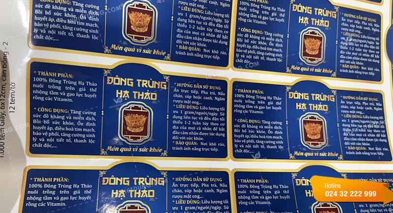 Mẫu tem nhãn đông trùng hạ thảo sang trọng