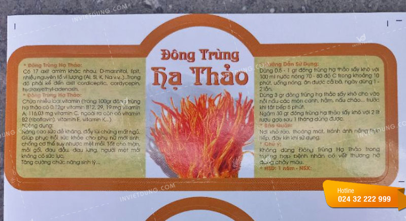 Mẫu tem nhãn đông trùng hạ thảo thiết kế đầy đủ thông tin chi tiết