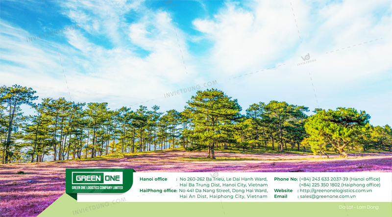 Ruột lịch để bàn chữ M công ty Green One