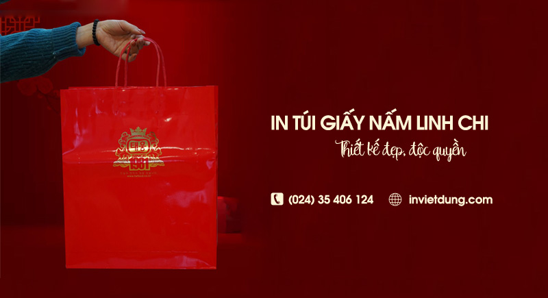 Xưởng in túi giấy đựng nấm linh chi, thiết kế mẫu miễn phí