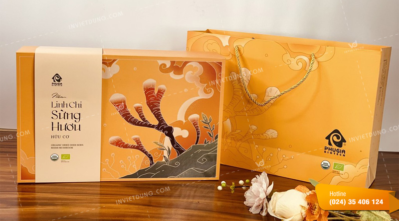 Mẫu túi giấy đựng nấm linh chi
