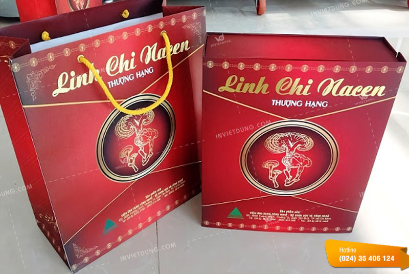 Mẫu túi giấy đựng nấm linh chi