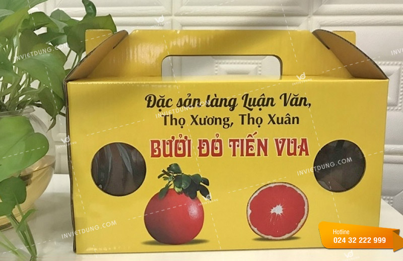 In hộp đựng trái cây đặc sản làng Luận Văn