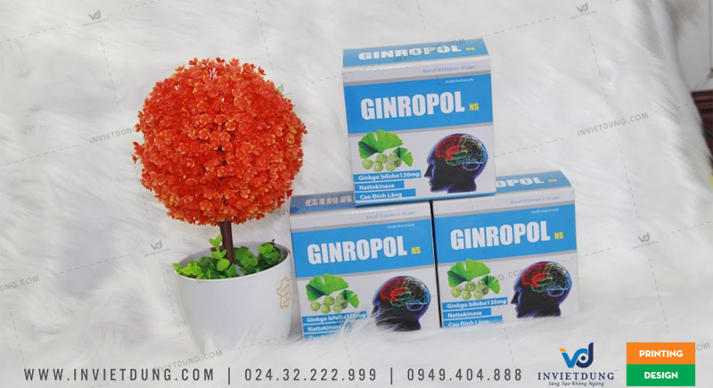 Mẫu hộp giấy đựng thuốc dưỡng não GINROPOL với đầy đủ thông tin và chi tiết