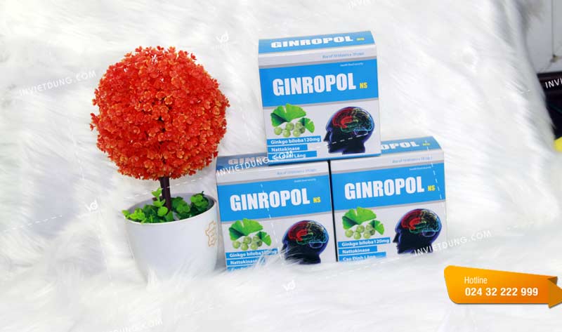 Mẫu hộp đựng thực phẩm bảo vệ sức khoẻ Ginropol