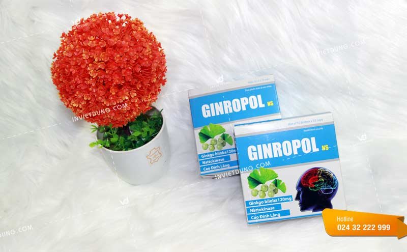 Mẫu hộp đựng thực phẩm bảo vệ sức khoẻ Ginropol